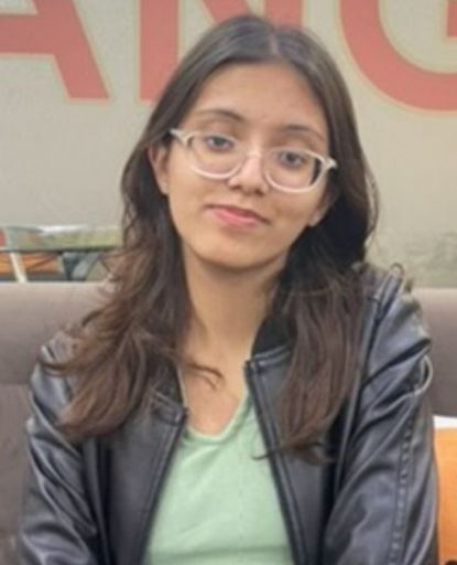 Student attending Russian language session at Mentor Language Institute Delhi